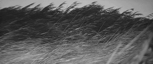 read carefully • JAN 1, 2023